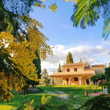 La Doganella Villa Pitigliano Eksteriør billede